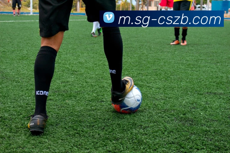 彩神争霸APP 高清赛事图